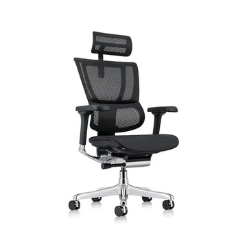 Ergohuman Xtreme Executive Task Chair
