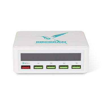 Finch USB Charging Hub