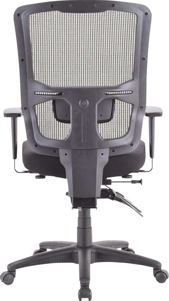 Apollo II Highback Multifunction