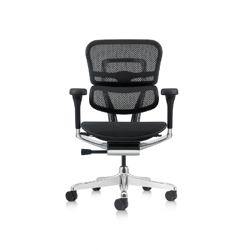 Ergohuman Low Back Mesh Executive Task Chair