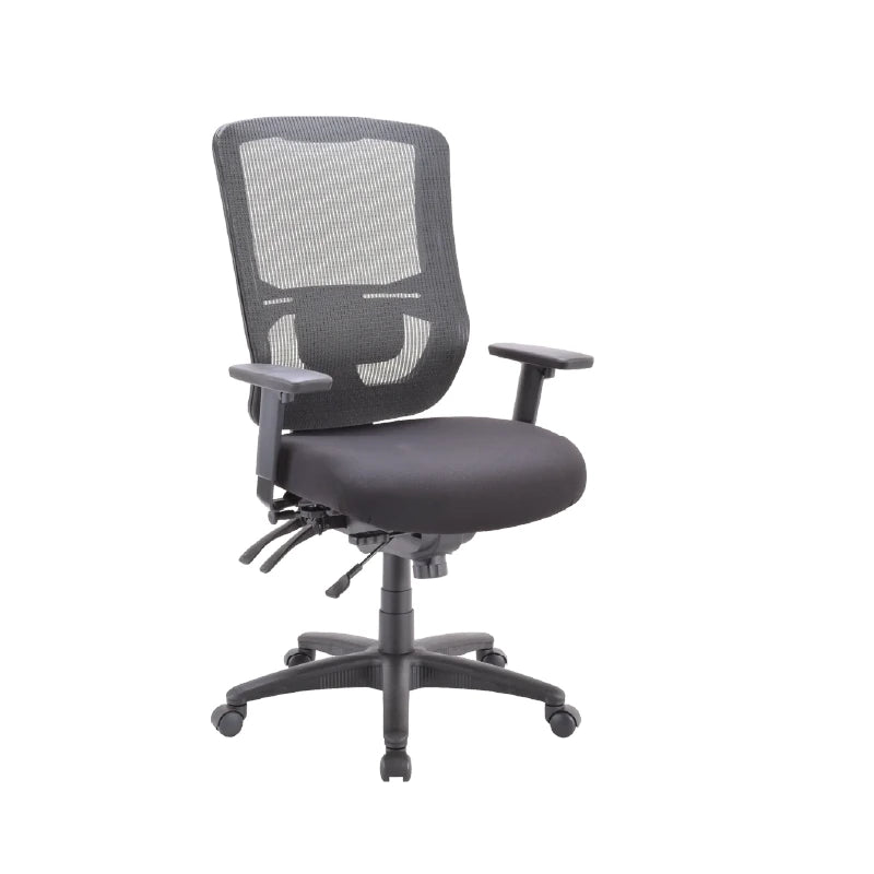 Apollo II Highback Multifunction