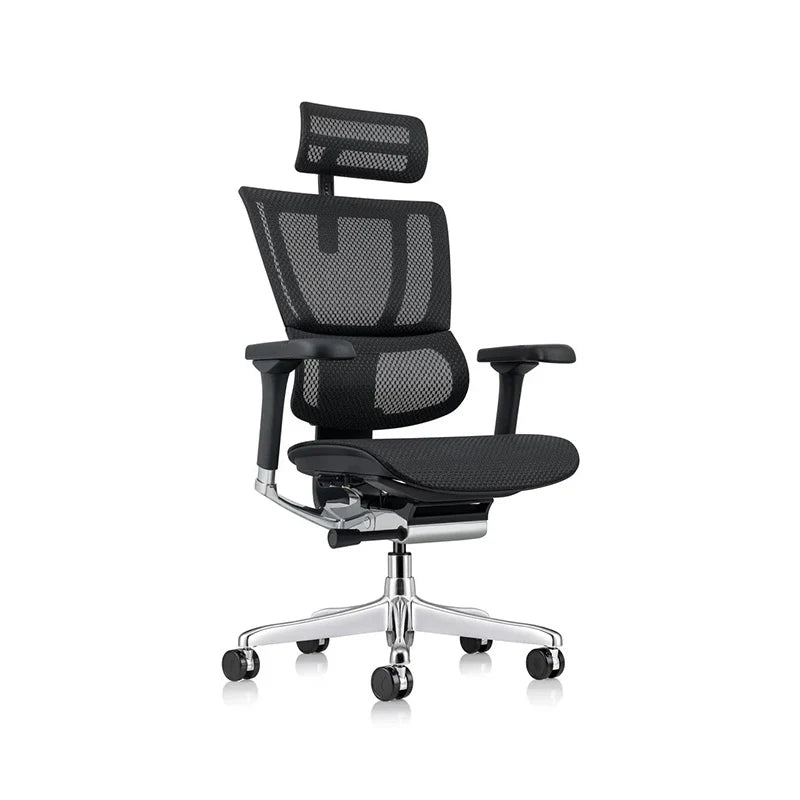 Ergohuman Xtreme Executive Task Chair